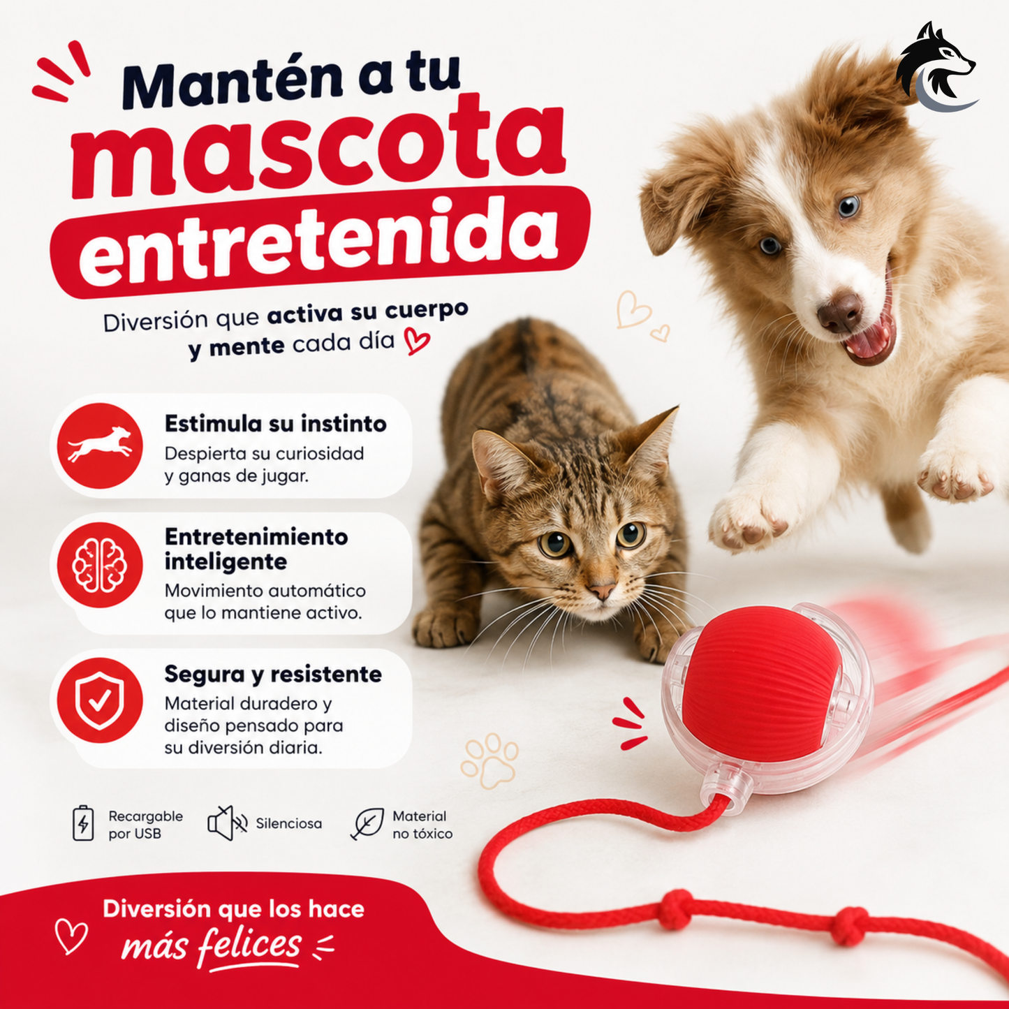 PetSpin 360 - Estimula su instinto natural sin que muevas un dedo