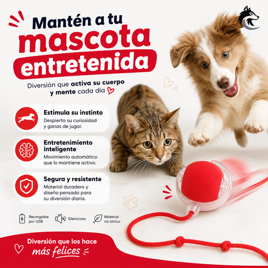 PetSpin 360 - Estimula su instinto natural sin que muevas un dedo