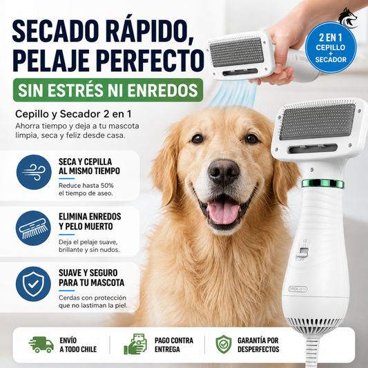 DryCoat Pro - Seca rápido y cepilla sin dañar